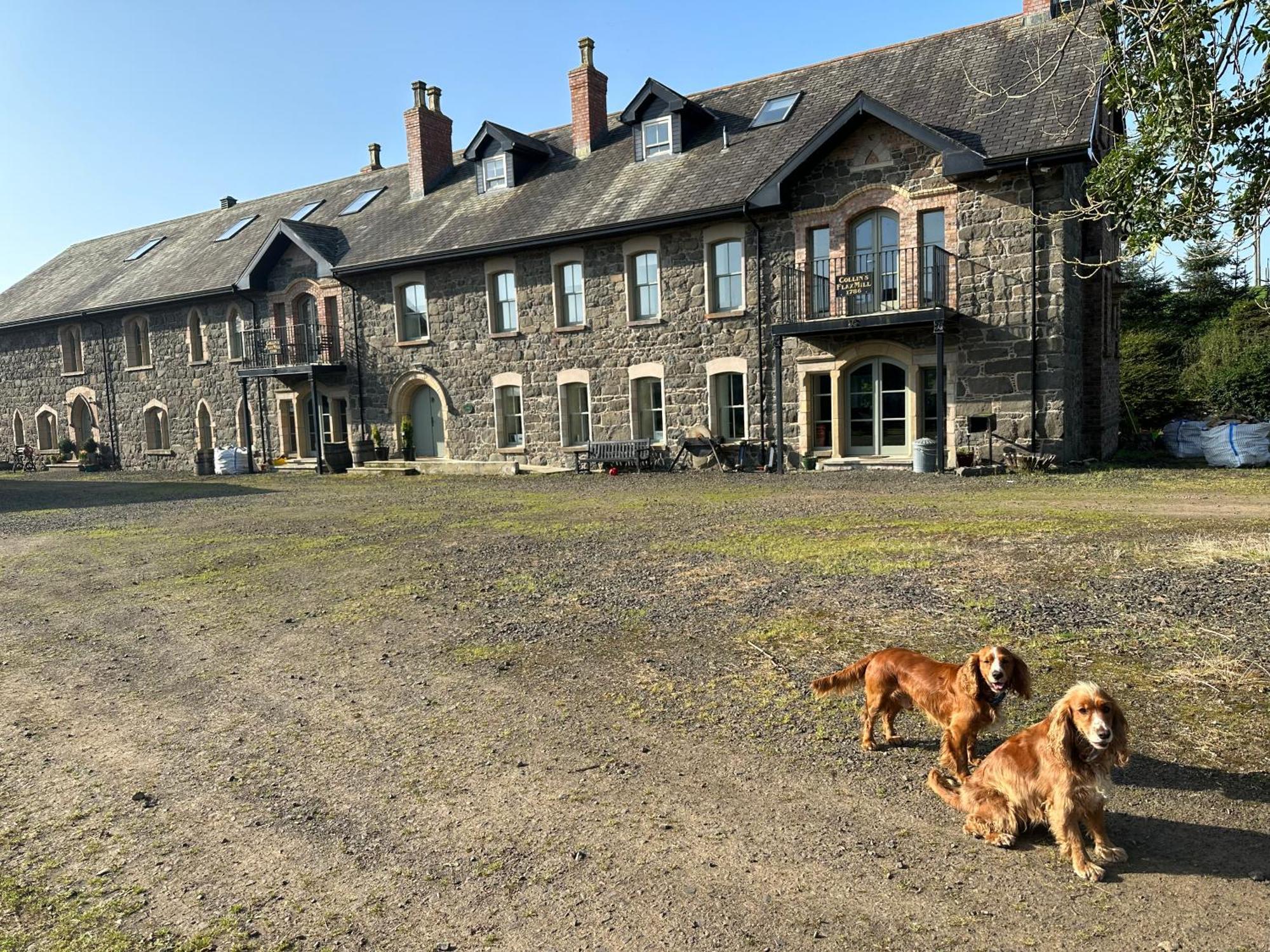 The Old Flax Mill Yoga Retreat Villa Coleraine Eksteriør bilde